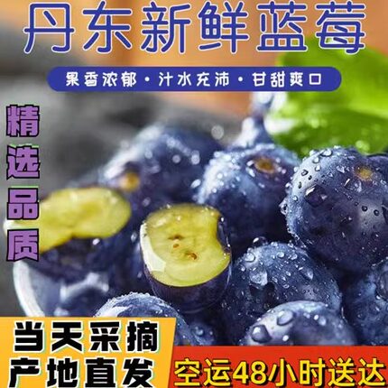 丹东蓝莓鲜果甜精品蓝莓大果同城当季新果孕妇水果非野生新鲜蓝莓