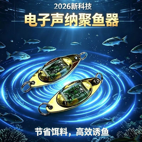 2026新款电子声纳聚鱼器大号铁片水下LED路亚亮片诱鱼灯电子打窝
