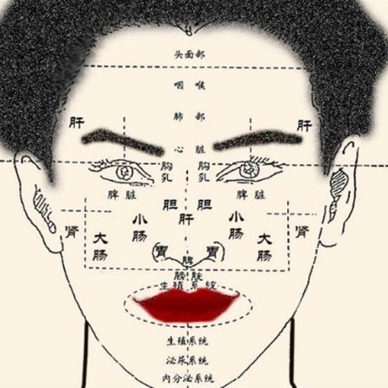 特色中医精细面诊王鸿谟看自己的脸色25集视频全 文档资料