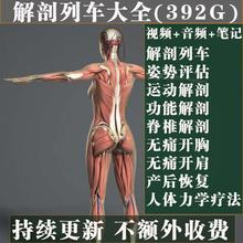 2018教你学解剖列车视频教程讲姿势评估运动解剖书产后功能恢复