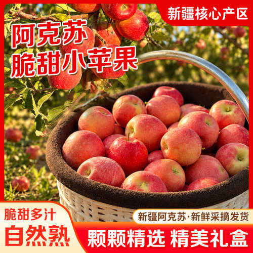 新疆阿克苏迷你小苹果皮薄肉厚汁水足应季水果脆甜多汁
