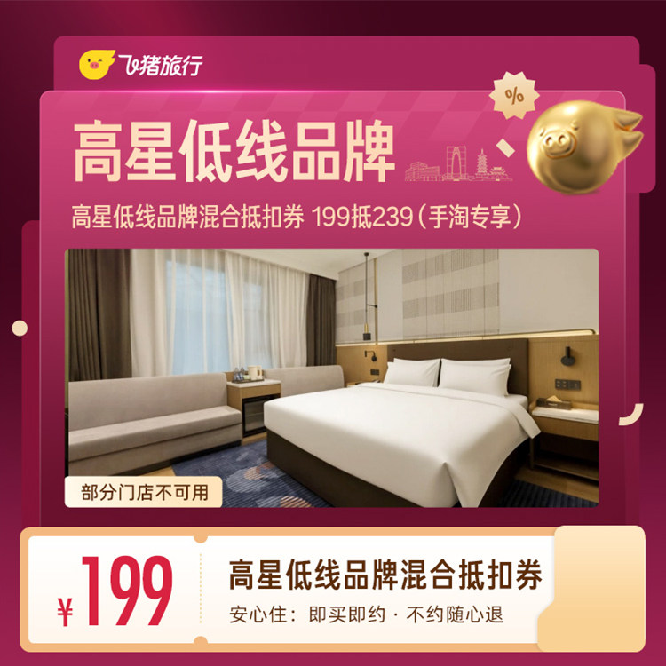 高星低线品牌混合1晚抵扣券 199抵239（手淘专享） 手合实拍商品图