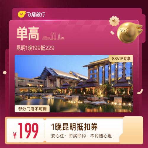 【88VIP专享】昆明单高1晚抵扣券 199抵229