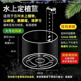 鱼缸植物挂盒鱼缸水培定植篮草缸盆壁挂植物篮绿萝地瓜种植支架