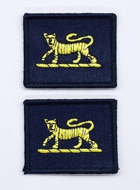 英国陆军老虎军团威尔士王妃皇家军团PWRR刺绣章臂章士气肩章布贴