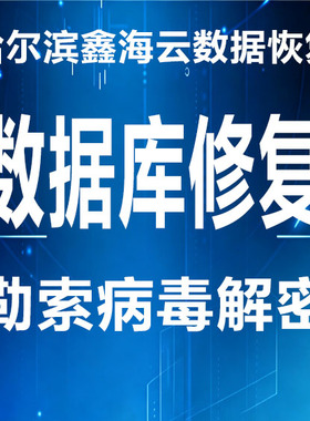 oracle数据库修复  SQLSERVER数据库恢复    勒索病毒文件解密