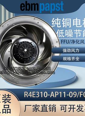 德国进口R4E310-AP11-09/01/F01/S01 M4E074-DF冷凝/FFU净化风扇
