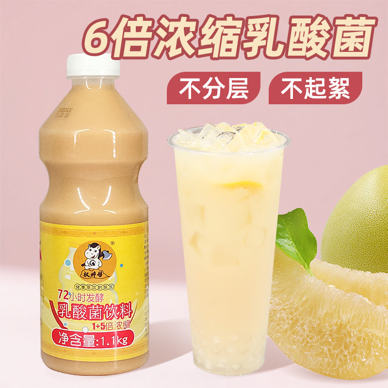 权焠帮浓缩乳酸菌饮品商用发酵益生菌饮料奶茶店专用益菌多优格乳