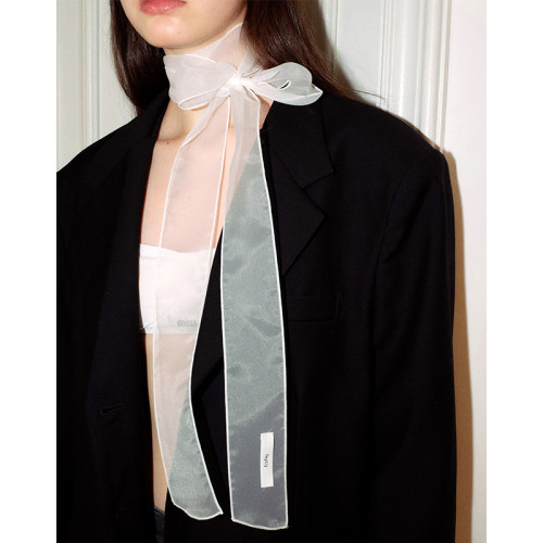 郑佰万~韩国ins细长条丝巾女