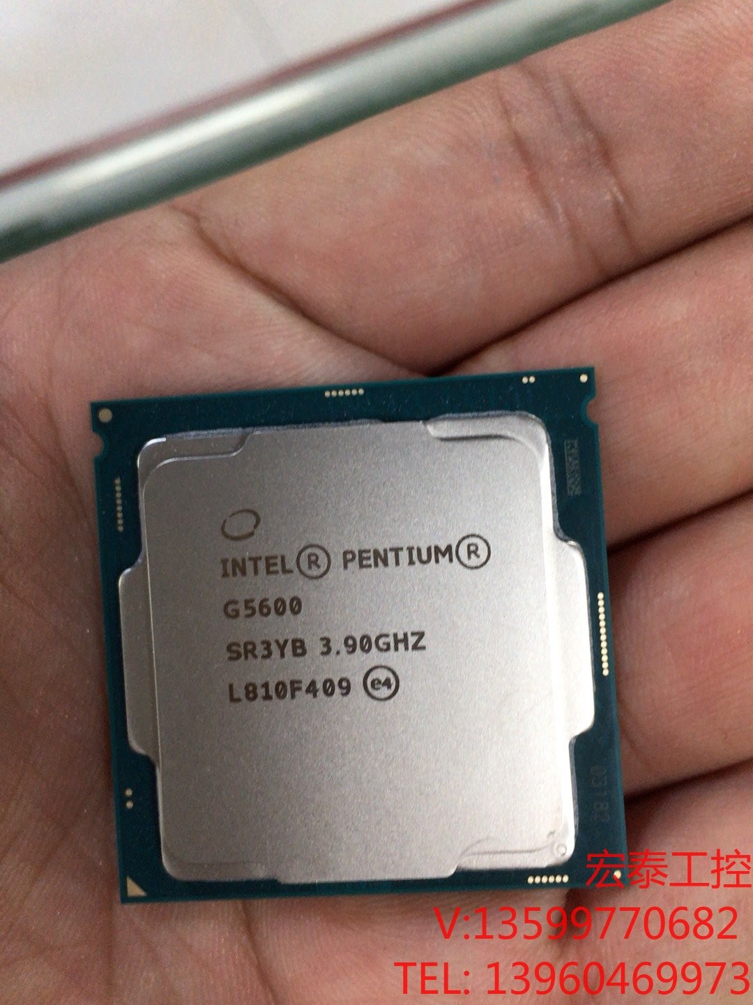 intelＧ5600全新散片