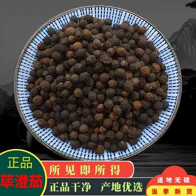 野生精选澄茄中药材500g包邮