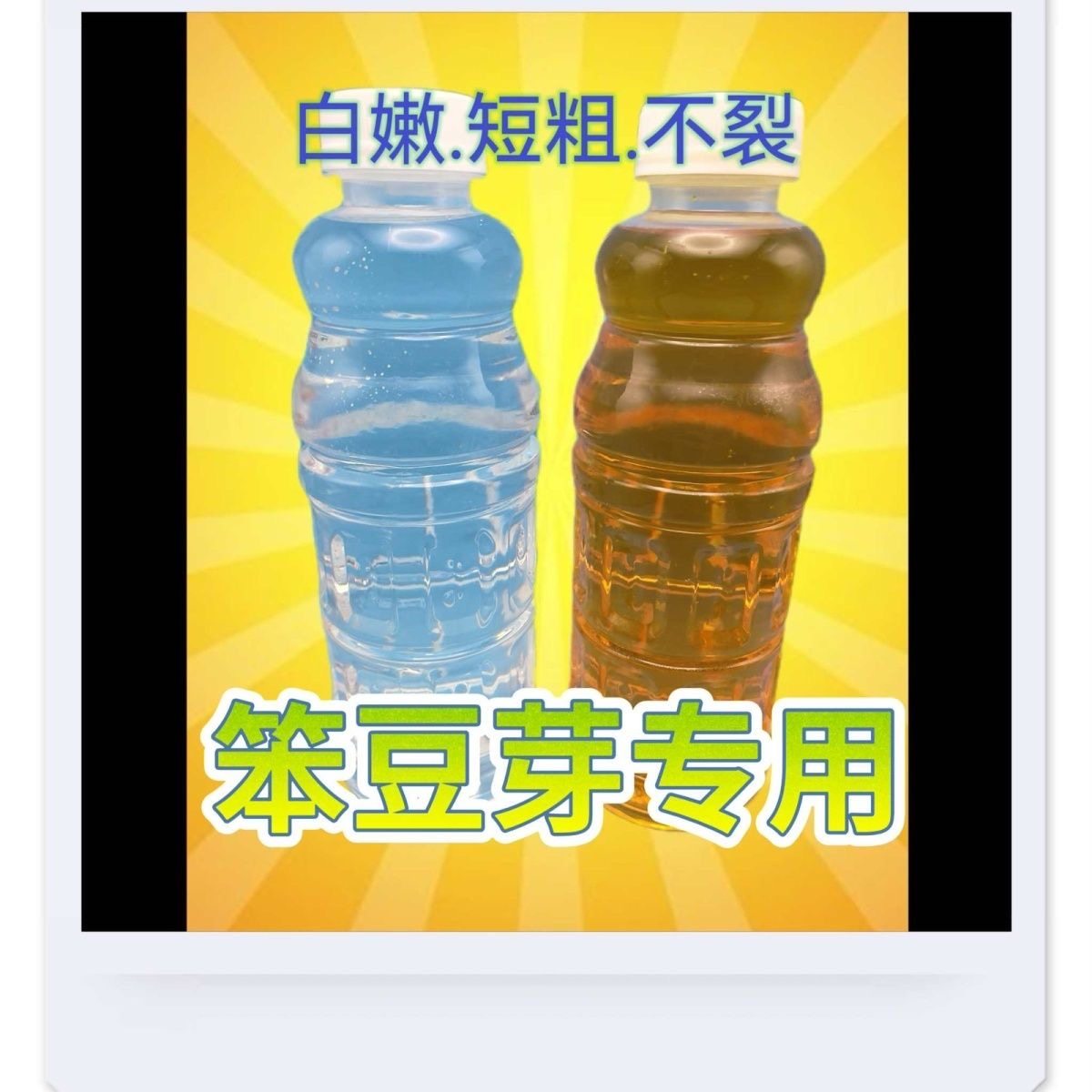 绿豆芽笨豆芽短粗菜增粗剂增白增自助查询终端