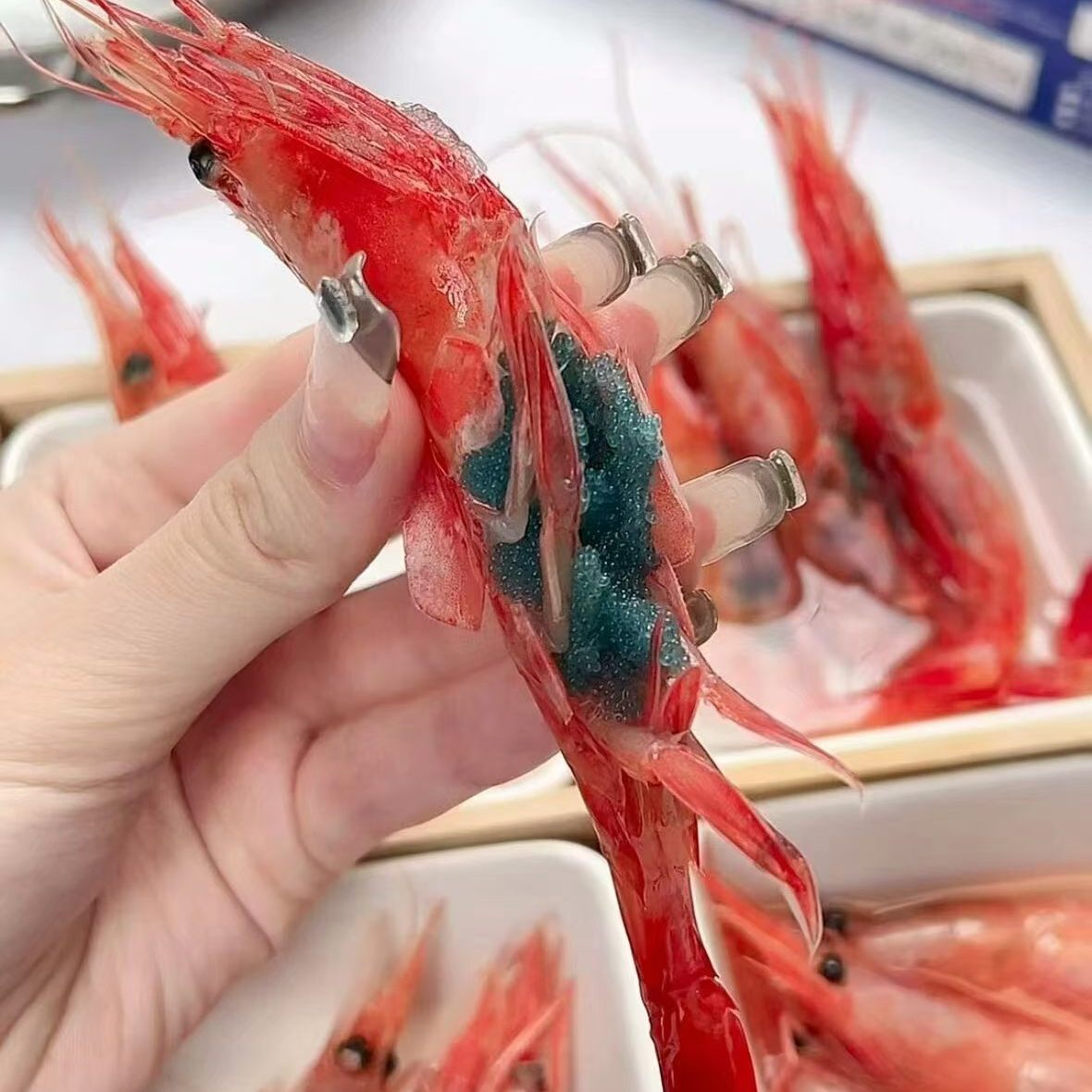 俄罗斯特大北极甜虾3L即食海鲜冻虾