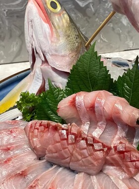 冰鲜马友鱼整鱼刺身