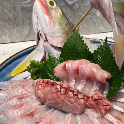 冰鲜马友鱼午鱼日料刺身
