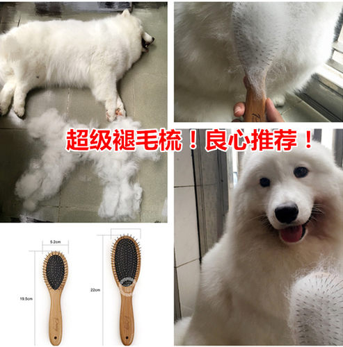 良心推荐宠物针梳  长毛狗专用褪毛梳萨摩耶阿拉斯加松狮专用梳子 - 封面