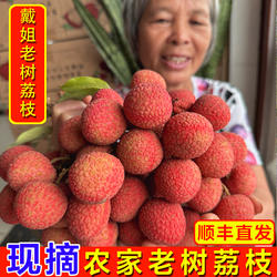戴姐荔枝新鲜水果高州老树白糖罂妃子桂糯米笑糍味现摘货5斤顺丰