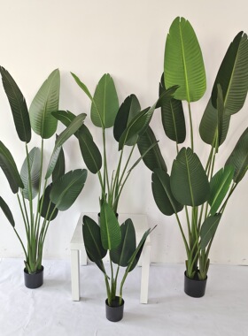 ins北欧风格装饰假绿植盆栽摆件家居饰品加密仿真旅人蕉现货ins风