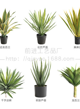 仿真芦荟龙舌兰剑麻沙生植物小棵绿植家居门店造景堆景装饰摆件