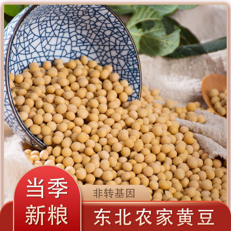 2025优质黄豆新货营养大豆打豆浆专用农家自种豆子发豆芽五谷杂粮