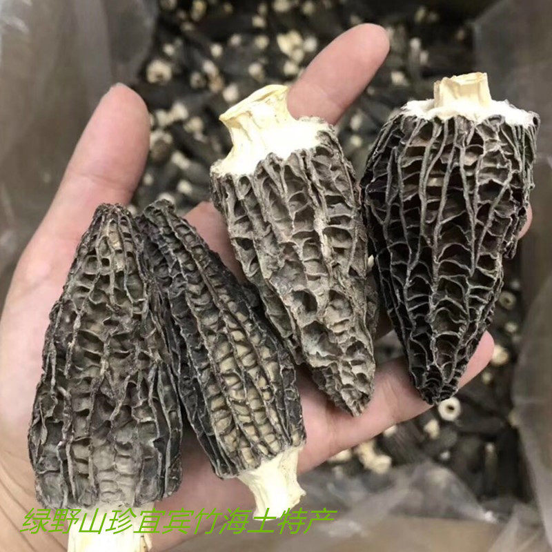 宜宾竹海土特产煲汤炖汤火锅食材羊肚菌250克包邮