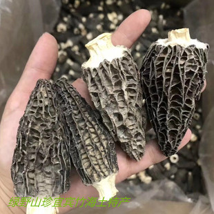 宜宾竹海土特产煲汤炖汤火锅食材羊肚菌250克包邮