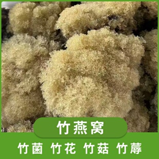 竹燕窝竹菌竹花竹菇竹蓐四川宜宾蜀南竹海特产酒店餐饮食材1000g