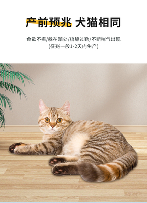 宠物待产包怀孕猫咪生产用具全套狗接生工具套装备产产房吸羊水器