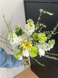 绿野仙踪家庭混搭花束 同城鲜花速递家庭水养鲜切花云南直发冷链