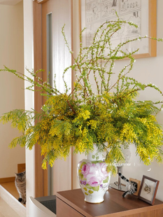 金合欢鲜花雪柳花节日鲜花束家庭花束鲜花速递家庭客厅水养鲜切花