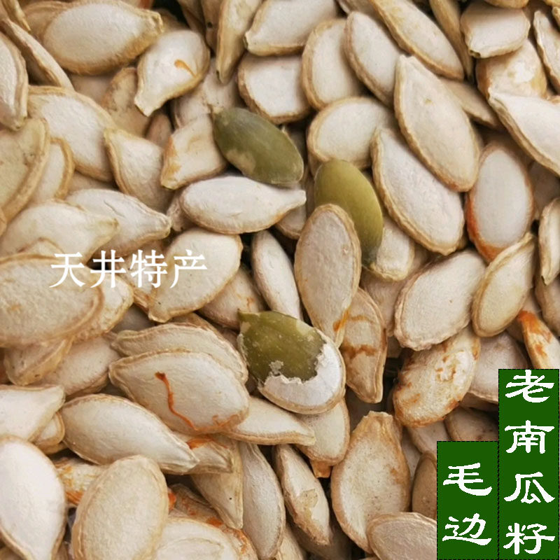 农家自种笨南瓜籽 毛边生南瓜子 新鲜绿仁 原味干南瓜籽500g包邮