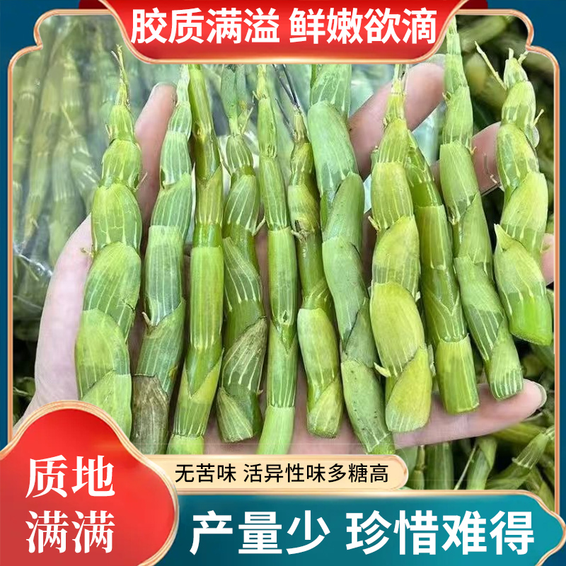 特级石斛珍虫云南珍梳唇石斛胶质