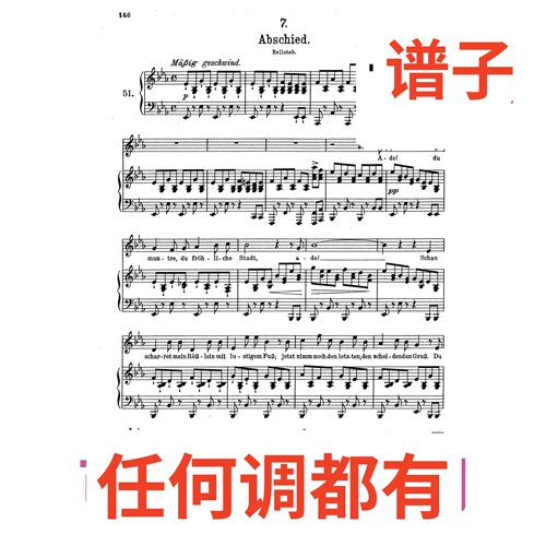 07 abschied rellstab 告别 5bE伴奏谱正谱声乐