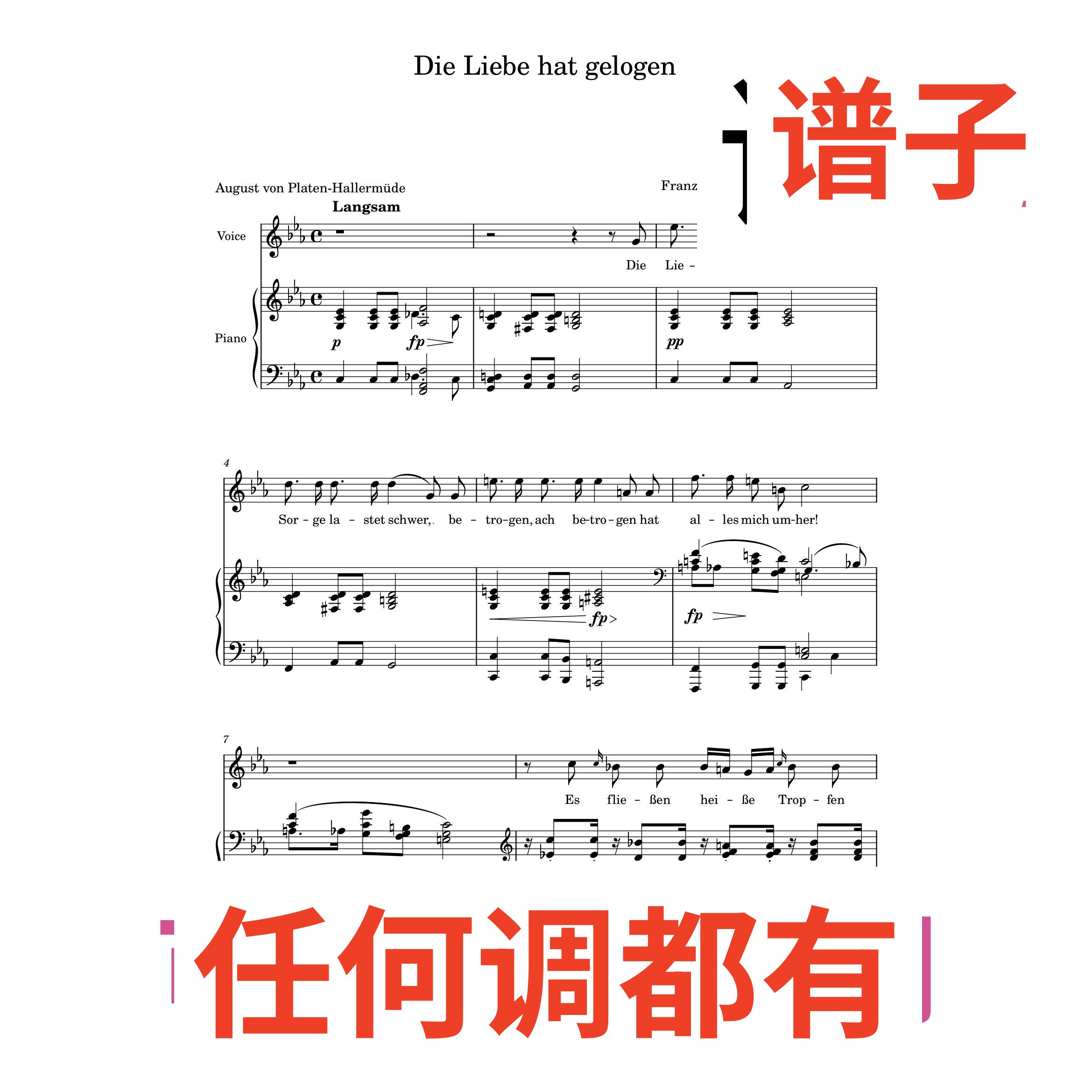 2bE Die_Liebe_hat_gelogen伴奏谱正谱声乐