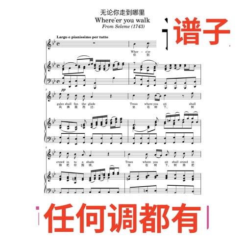 Where are you wolk 3bB伴奏谱正谱声乐
