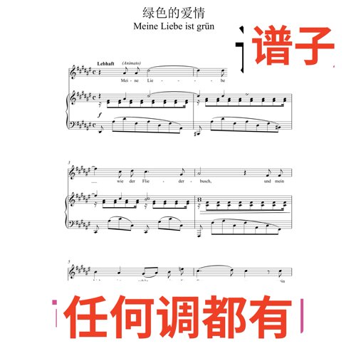 绿色的爱情Meine Liebe ist grün 5#F伴奏谱正谱声乐
