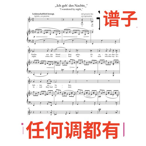 Ich geh' des Nachts 2页F伴奏谱正谱声乐