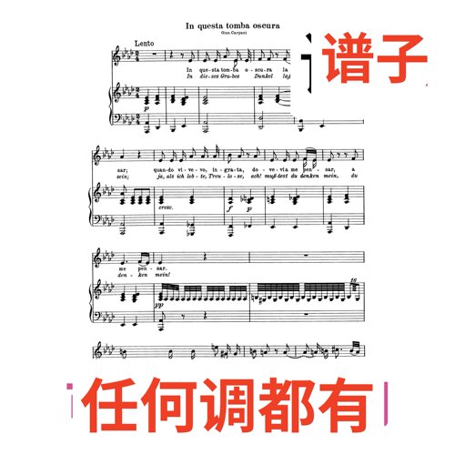 In questa tom ba oscura 原文2伴奏谱正谱声乐