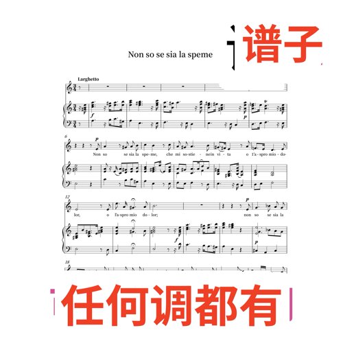 non so se sia la speme 3C伴奏谱正谱声乐