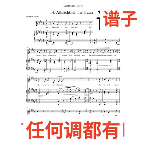 2B Allnchtlich_im_Traume伴奏谱正谱声乐