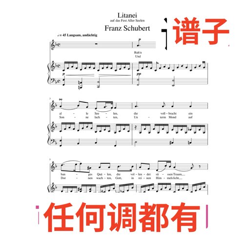 Litanei_auf_das_Fest_Aller_Seelen 2F伴奏谱正谱声乐