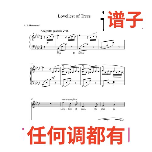 最可爱的树loveliest of trees 6页bA伴奏谱正谱声乐