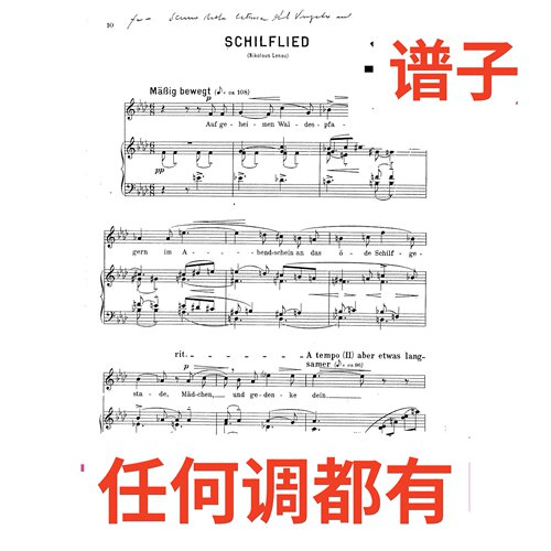 Alban Berg Schilflied 4bA伴奏谱正谱声乐