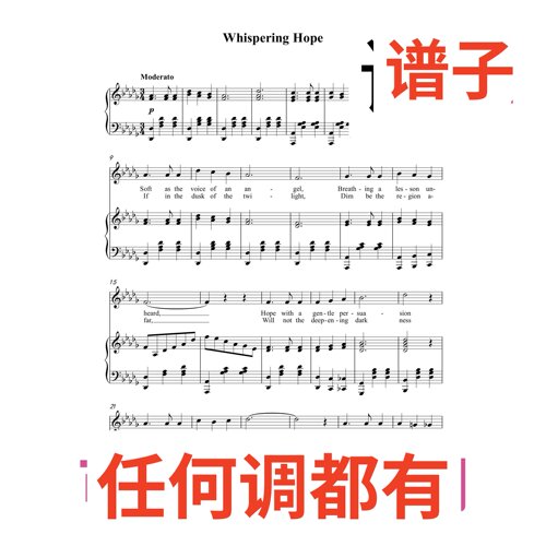 2bD Whispering Hope伴奏谱正谱声乐