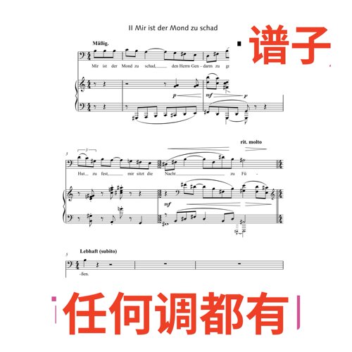 mir ist der mond zu schad 2C伴奏谱正谱声乐