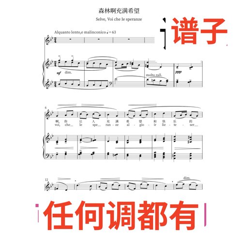 bB Selve Voi che le speranze 2伴奏谱正谱声乐