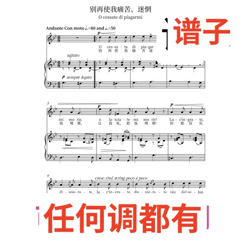 降B O cessate di piagarmi 2伴奏谱正谱声乐