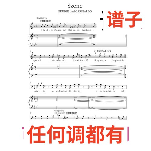Lo faro diro spietato Szene 6页C伴奏谱正谱声乐