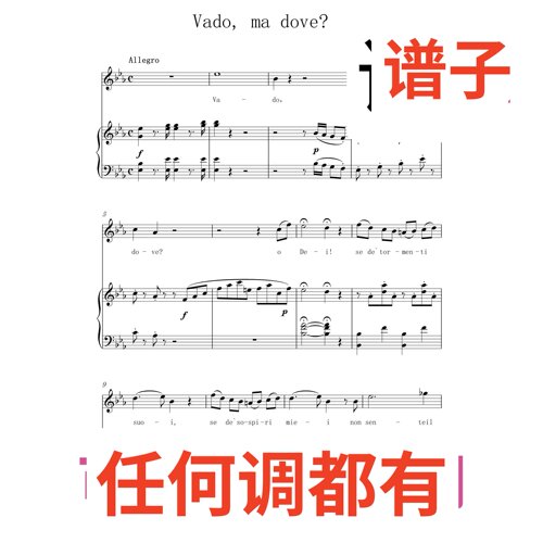 Vado ma dove 7页原文bE伴奏谱正谱声乐