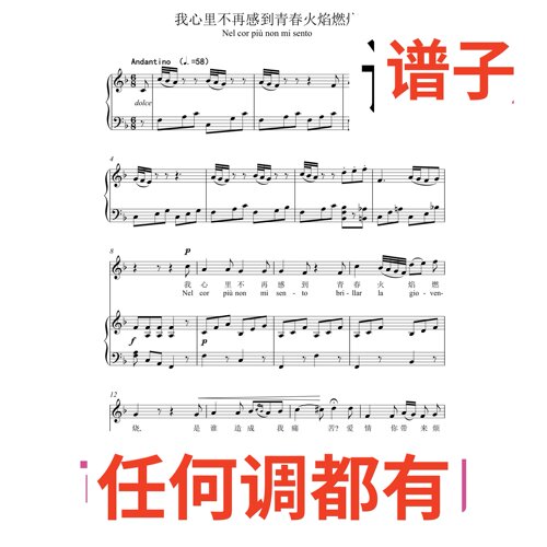 F2 Nel cor più non mi sento伴奏谱正谱声乐